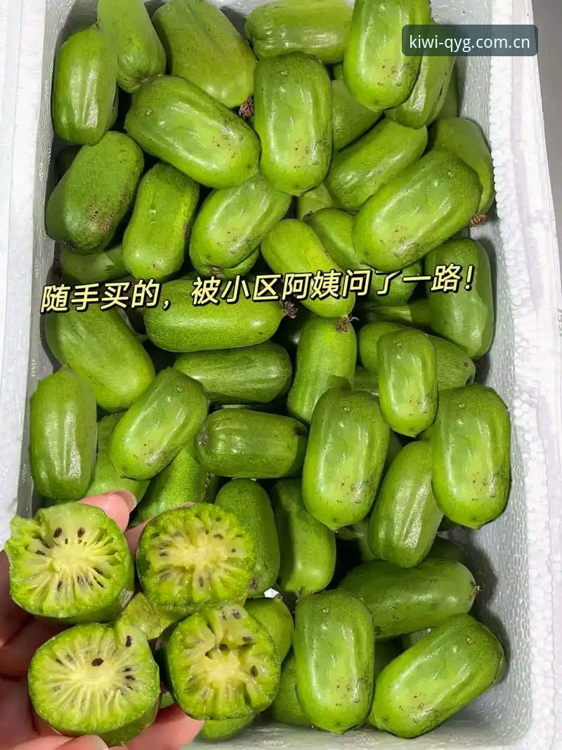 QYG奇异果体育 奇异果体育平台实用指南:从安装到高阶体验的必备知识