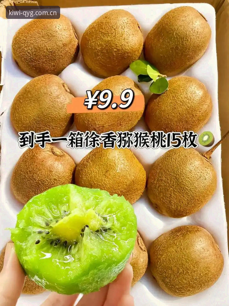 奇异果体育平台功能详解与官方入口获取指南