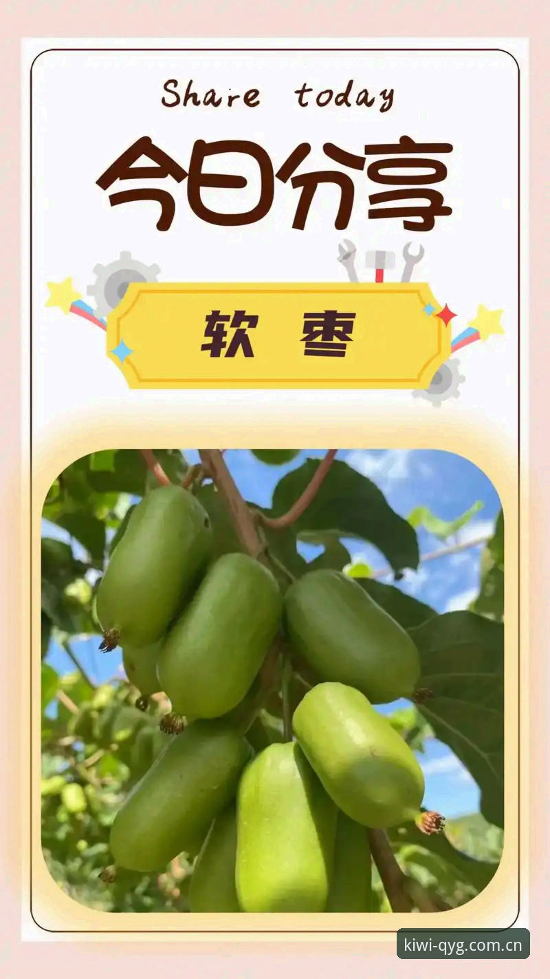奇异果体育平台安装与使用教程：五分钟开启体育乐趣